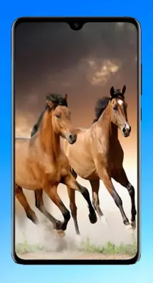 Horse Wallpaper 4K android App screenshot 11