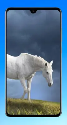 Horse Wallpaper 4K android App screenshot 1