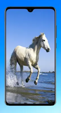 Horse Wallpaper 4K android App screenshot 5