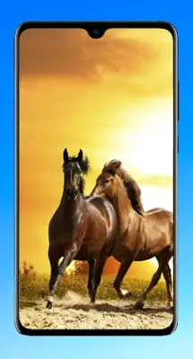 Horse Wallpaper 4K android App screenshot 6