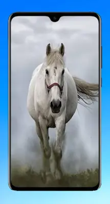 Horse Wallpaper 4K android App screenshot 8